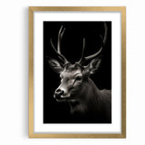 Majestic Antelope Wall Art - Elegant Wildlife Print in Stunning Detail