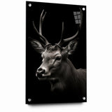 Majestic Antelope Wall Art - Elegant Wildlife Print in Stunning Detail