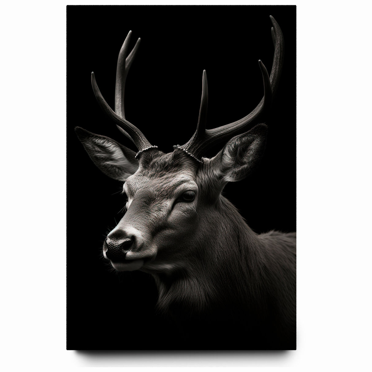 Majestic Antelope Wall Art - Elegant Wildlife Print in Stunning Detail