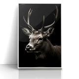 Majestic Antelope Wall Art - Elegant Wildlife Print in Stunning Detail