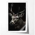 Majestic Antelope Wall Art - Elegant Wildlife Print in Stunning Detail