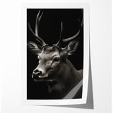 Majestic Antelope Wall Art - Elegant Wildlife Print in Stunning Detail