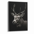 Majestic Antelope Wall Art - Elegant Wildlife Print in Stunning Detail