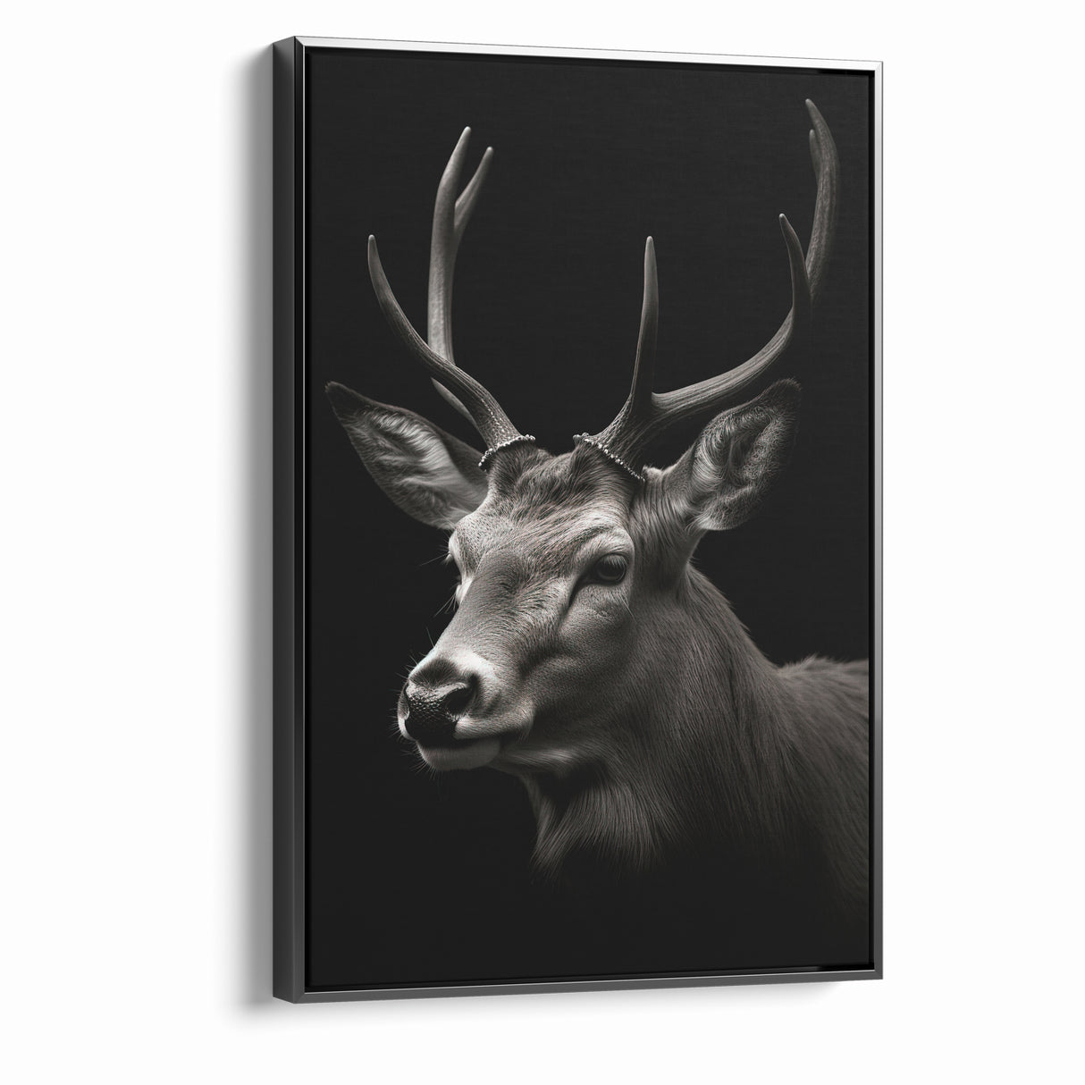 Majestic Antelope Wall Art - Elegant Wildlife Print in Stunning Detail