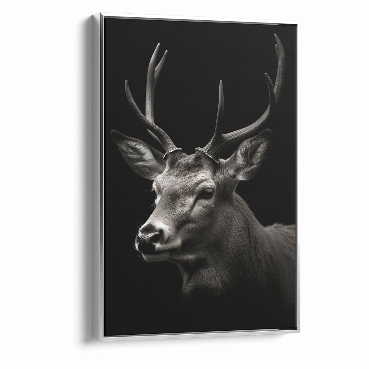 Majestic Antelope Wall Art - Elegant Wildlife Print in Stunning Detail