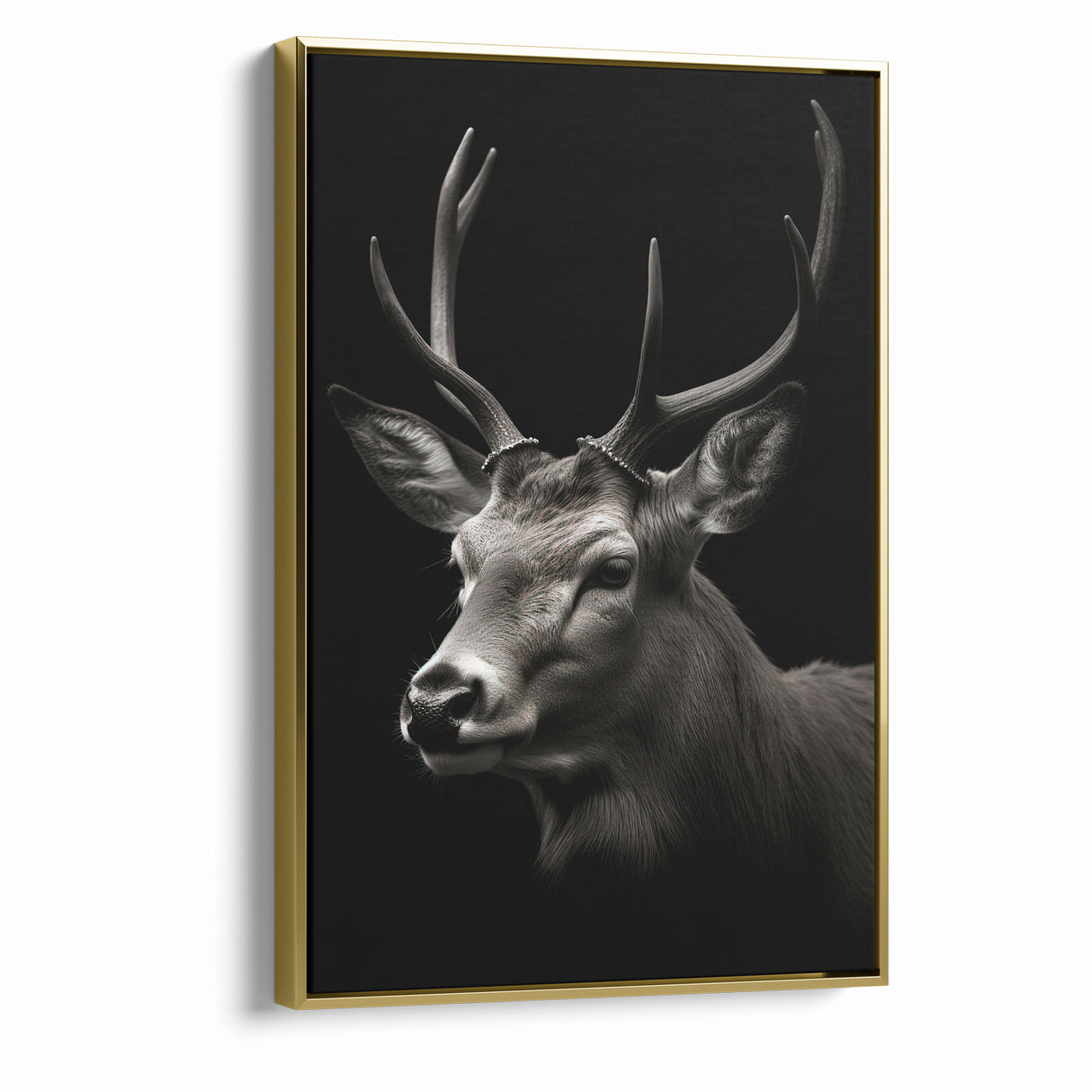 Majestic Antelope Wall Art - Elegant Wildlife Print in Stunning Detail