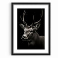 Majestic Antelope Wall Art - Elegant Wildlife Print in Stunning Detail