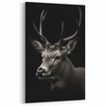 Majestic Antelope Wall Art - Elegant Wildlife Print in Stunning Detail