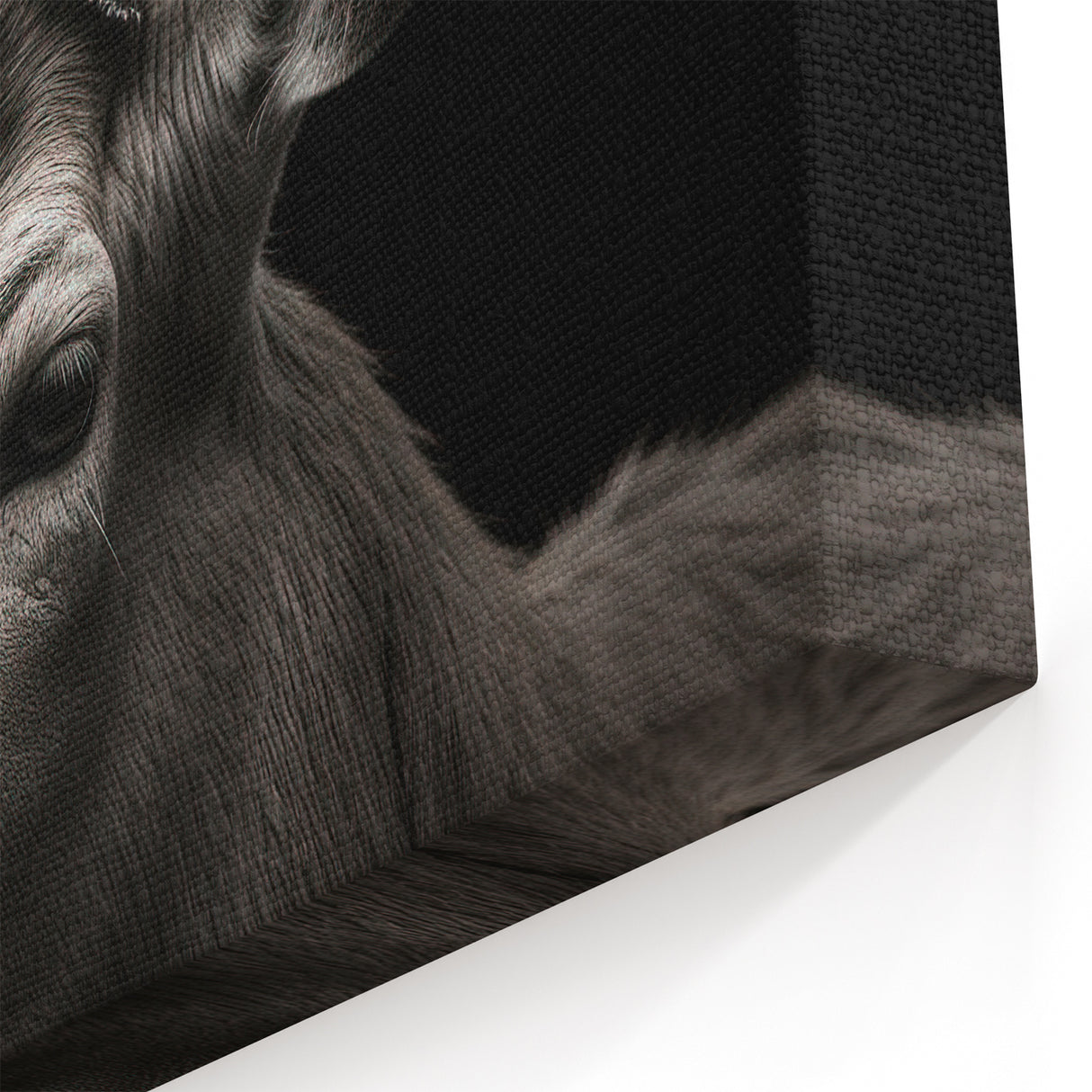 Majestic Antelope Wall Art - Elegant Wildlife Print in Stunning Detail
