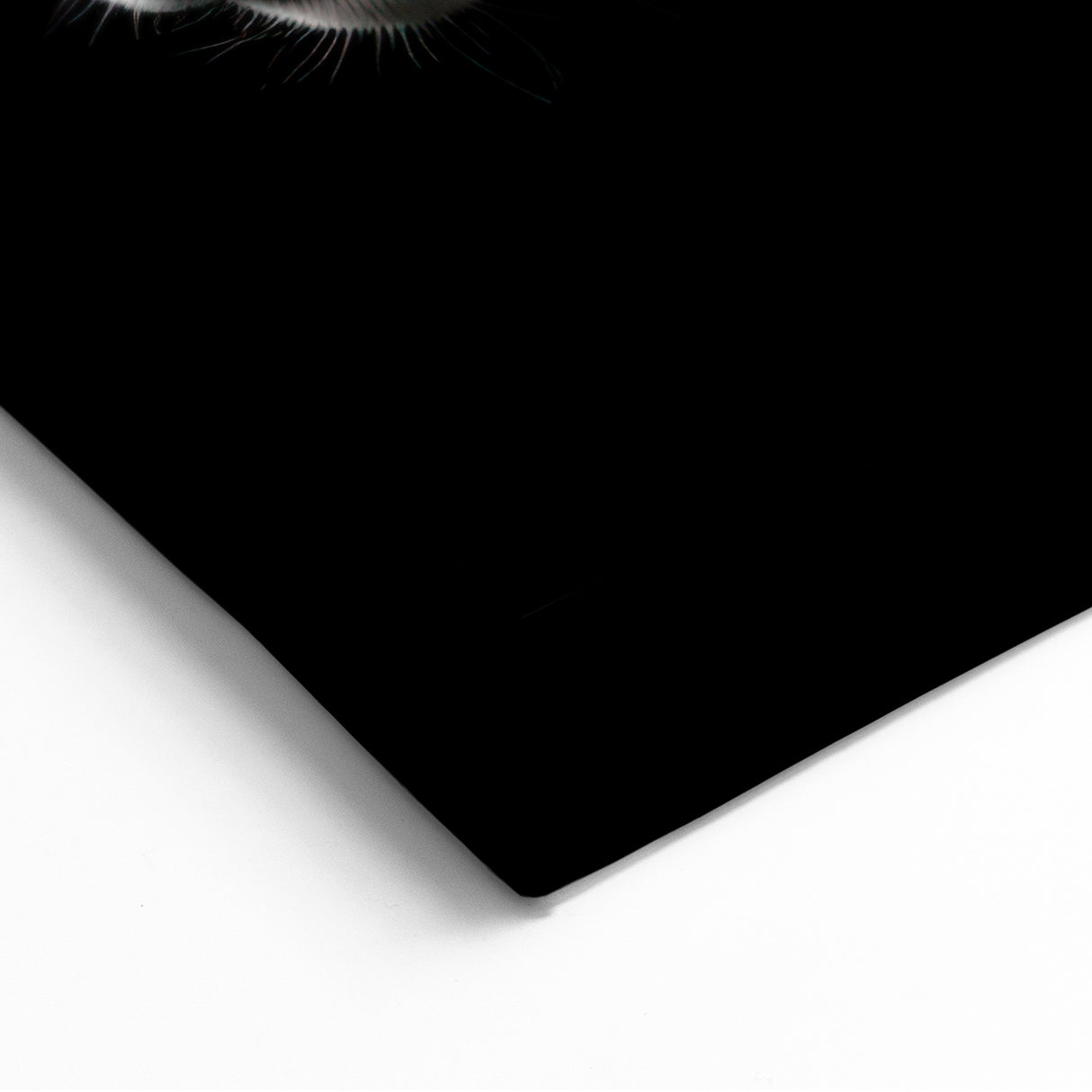 Majestic Antelope Wall Art - Elegant Wildlife Print in Stunning Detail