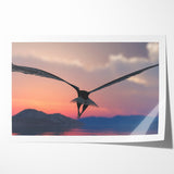 Graceful Birds of Prey Wall Art – Soaring Eagle at Sunset Canvas Print