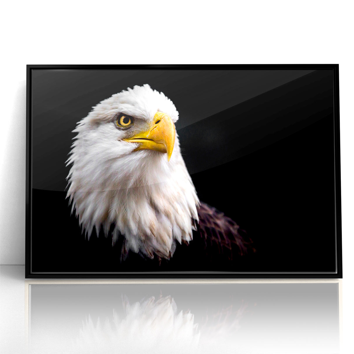 Elegant Birds of Prey Wall Art – Majestic Bald Eagle Portrait Print