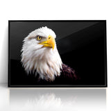 Elegant Birds of Prey Wall Art – Majestic Bald Eagle Portrait Print