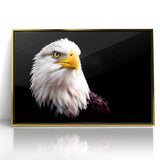Elegant Birds of Prey Wall Art – Majestic Bald Eagle Portrait Print