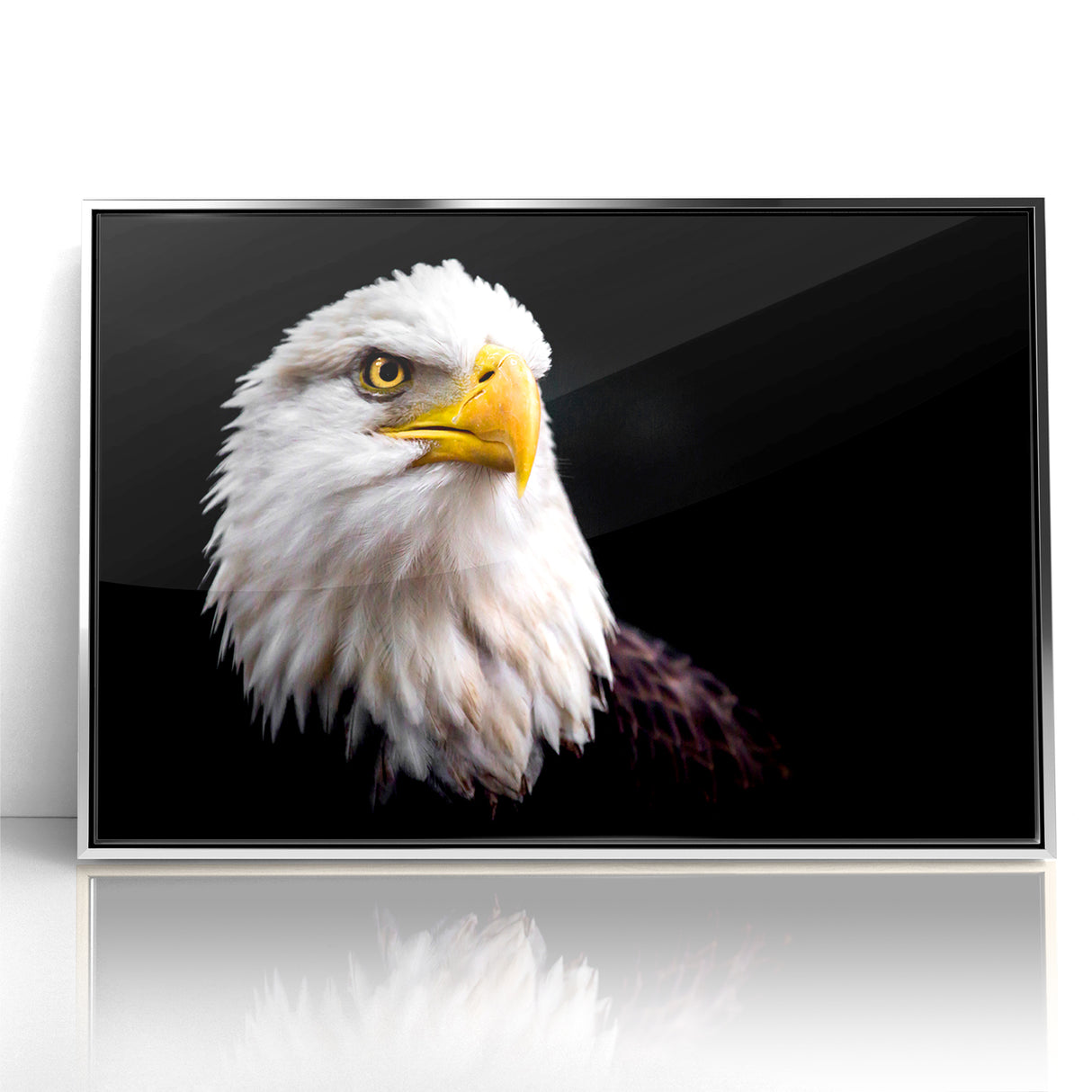 Elegant Birds of Prey Wall Art – Majestic Bald Eagle Portrait Print