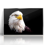 Elegant Birds of Prey Wall Art – Majestic Bald Eagle Portrait Print