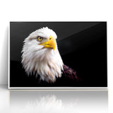 Elegant Birds of Prey Wall Art – Majestic Bald Eagle Portrait Print
