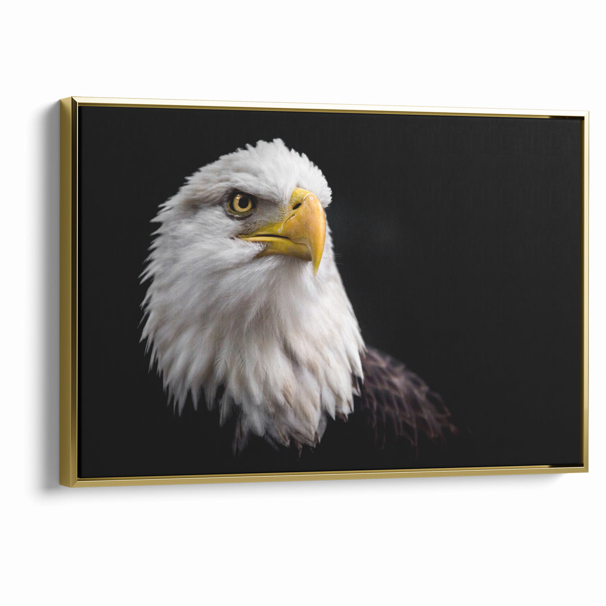 Elegant Birds of Prey Wall Art – Majestic Bald Eagle Portrait Print