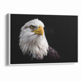 Elegant Birds of Prey Wall Art – Majestic Bald Eagle Portrait Print