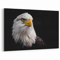 Elegant Birds of Prey Wall Art – Majestic Bald Eagle Portrait Print