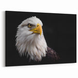 Elegant Birds of Prey Wall Art – Majestic Bald Eagle Portrait Print