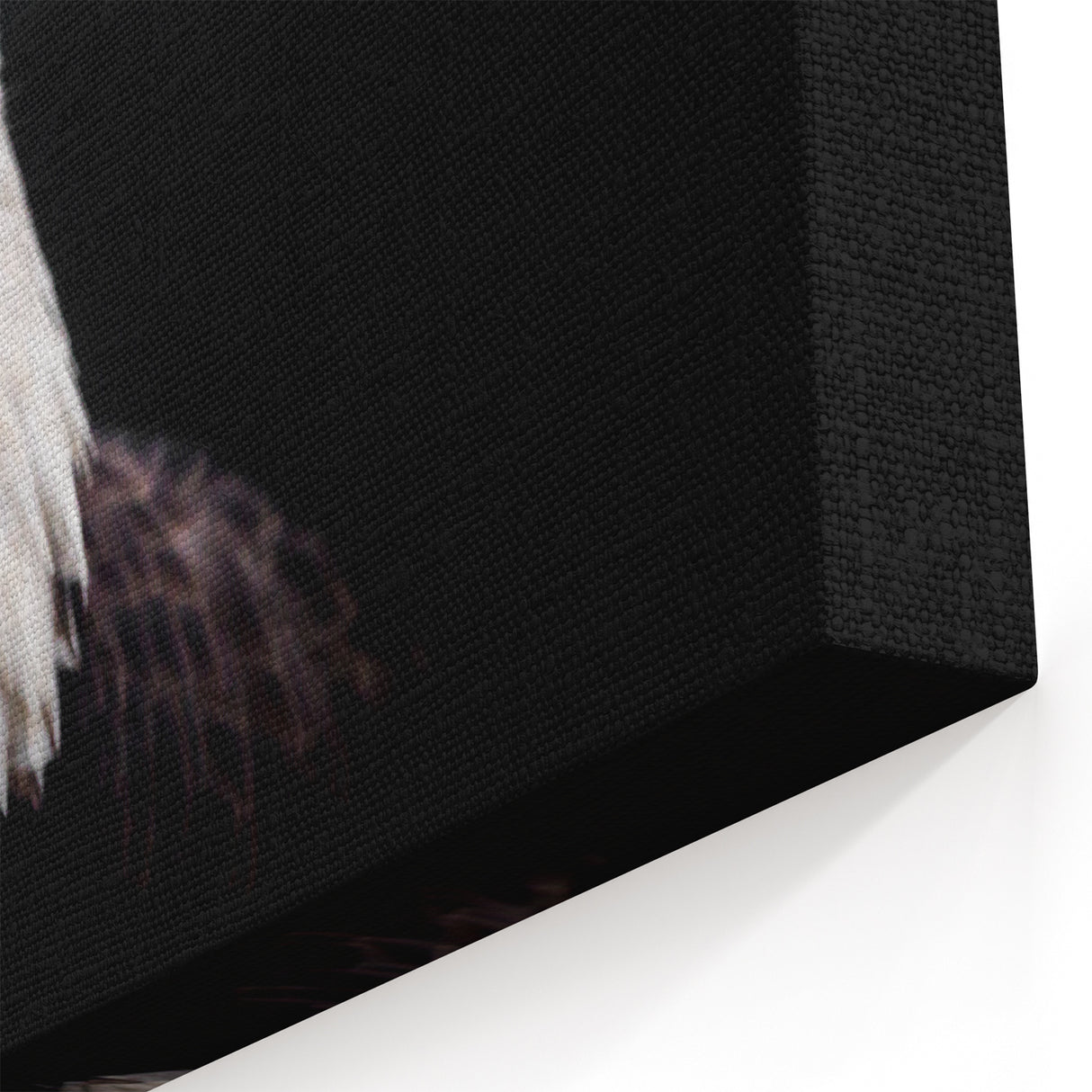 Elegant Birds of Prey Wall Art – Majestic Bald Eagle Portrait Print