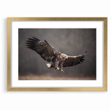 Powerful Birds of Prey Wall Art – Eagle in Flight Wildlife Canvas Print