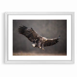 Powerful Birds of Prey Wall Art – Eagle in Flight Wildlife Canvas Print