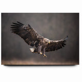 Powerful Birds of Prey Wall Art – Eagle in Flight Wildlife Canvas Print