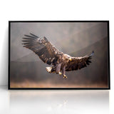 Powerful Birds of Prey Wall Art – Eagle in Flight Wildlife Canvas Print