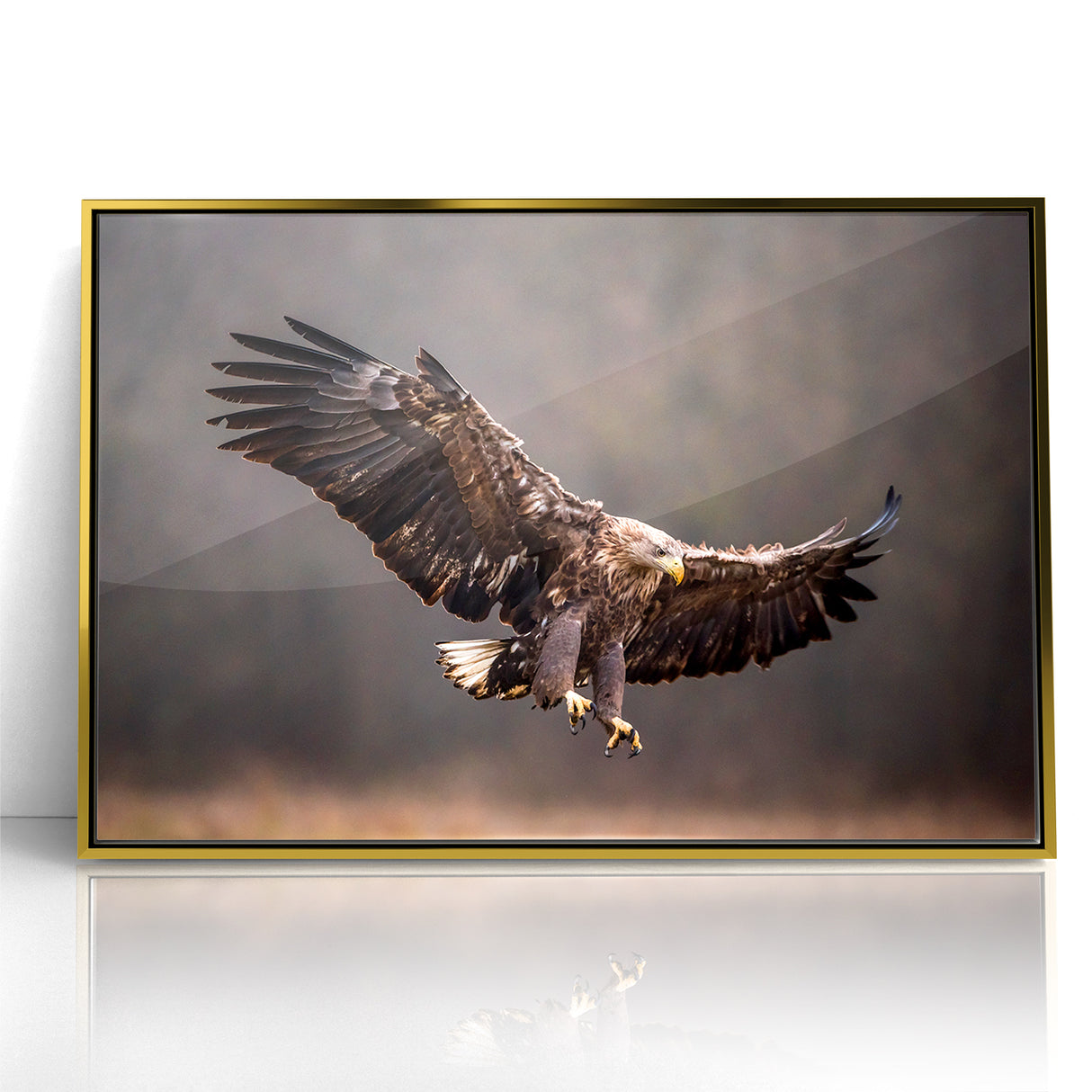 Powerful Birds of Prey Wall Art – Eagle in Flight Wildlife Canvas Print