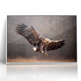 Powerful Birds of Prey Wall Art – Eagle in Flight Wildlife Canvas Print