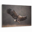 Powerful Birds of Prey Wall Art – Eagle in Flight Wildlife Canvas Print