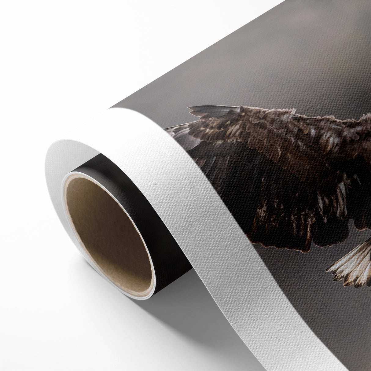 Powerful Birds of Prey Wall Art – Eagle in Flight Wildlife Canvas Print