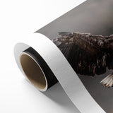 Powerful Birds of Prey Wall Art – Eagle in Flight Wildlife Canvas Print