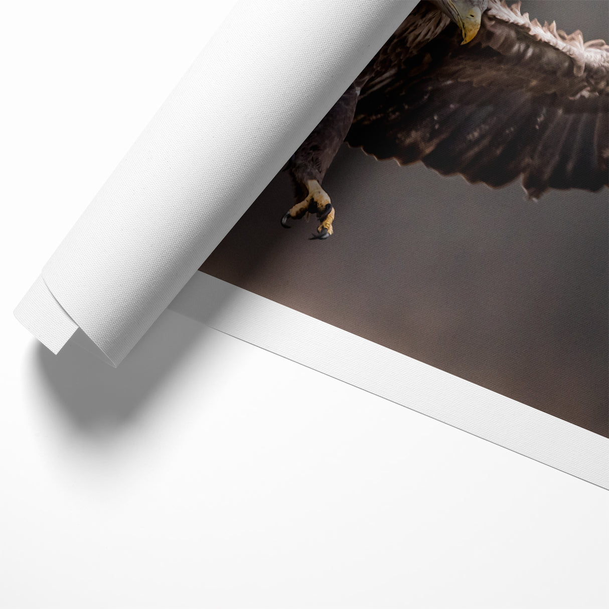 Powerful Birds of Prey Wall Art – Eagle in Flight Wildlife Canvas Print