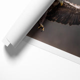 Powerful Birds of Prey Wall Art – Eagle in Flight Wildlife Canvas Print