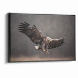 Powerful Birds of Prey Wall Art – Eagle in Flight Wildlife Canvas Print