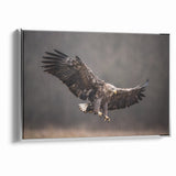 Powerful Birds of Prey Wall Art – Eagle in Flight Wildlife Canvas Print
