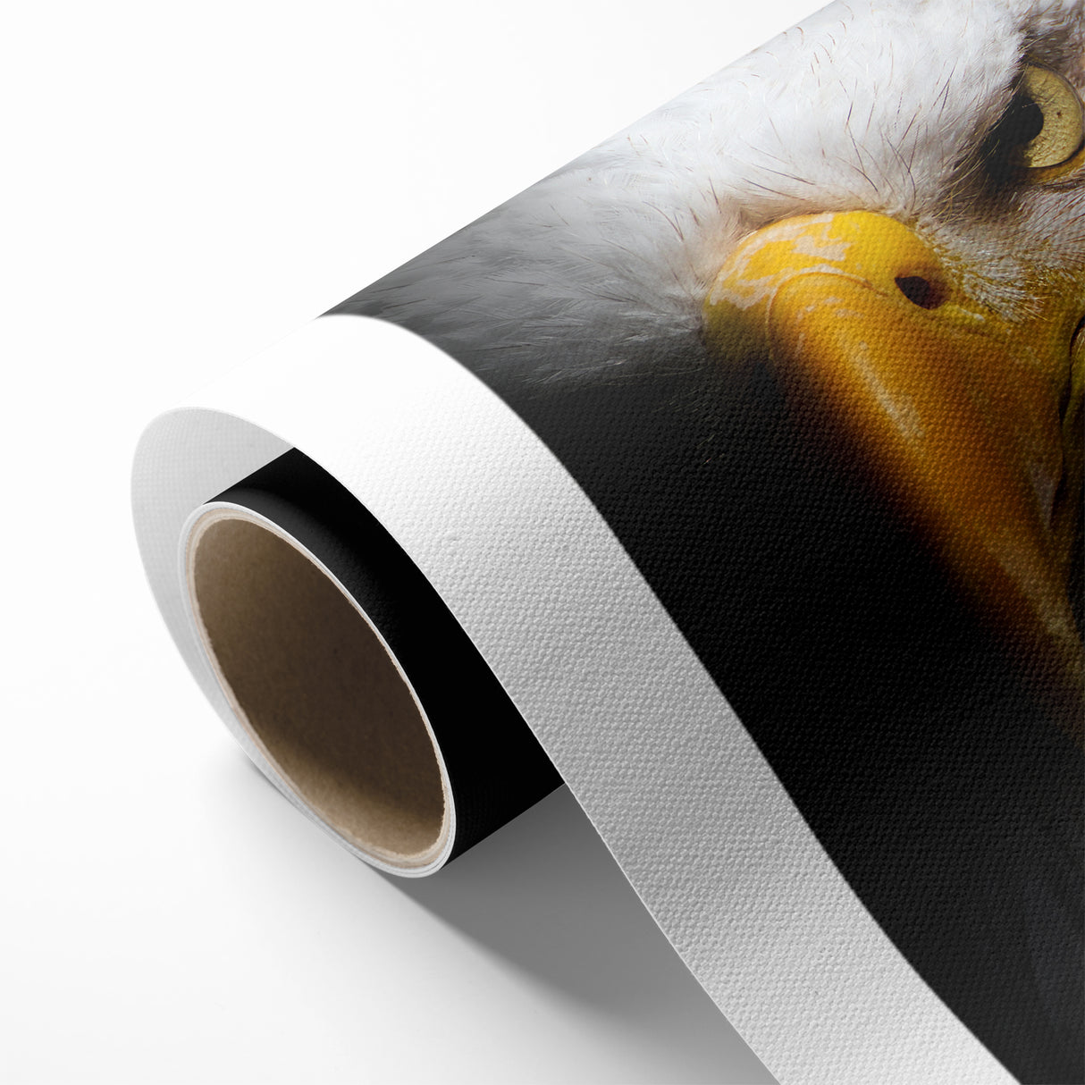 Intense Birds of Prey Wall Art – Bald Eagle Close-Up Portrait Print