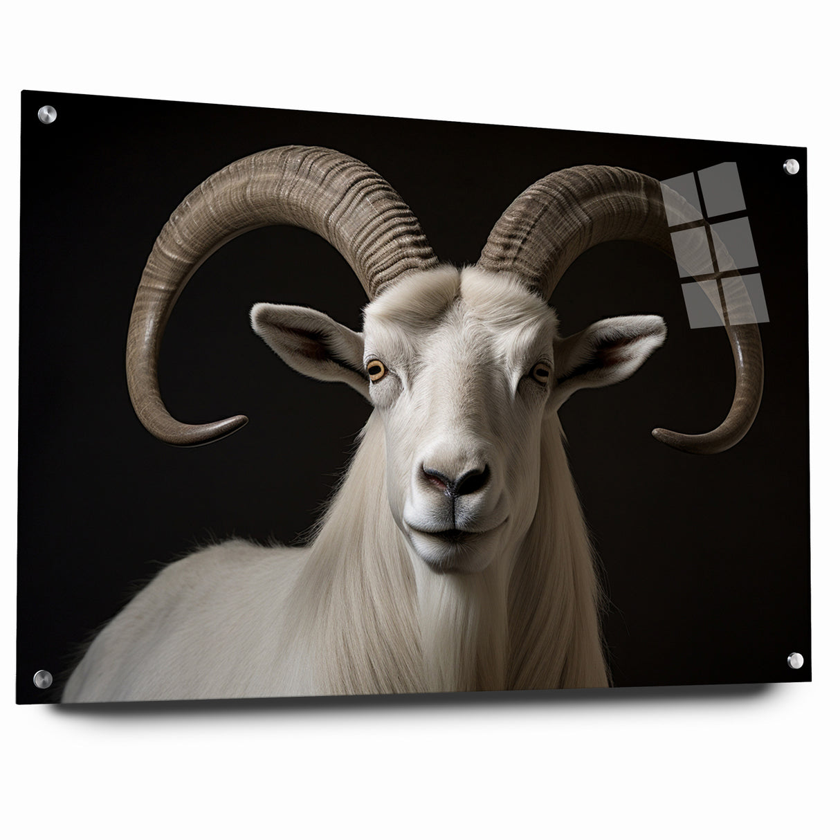 Majestic White Antelope with Impressive Horns - Captivating Wall Art