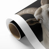 Majestic White Antelope with Impressive Horns - Captivating Wall Art