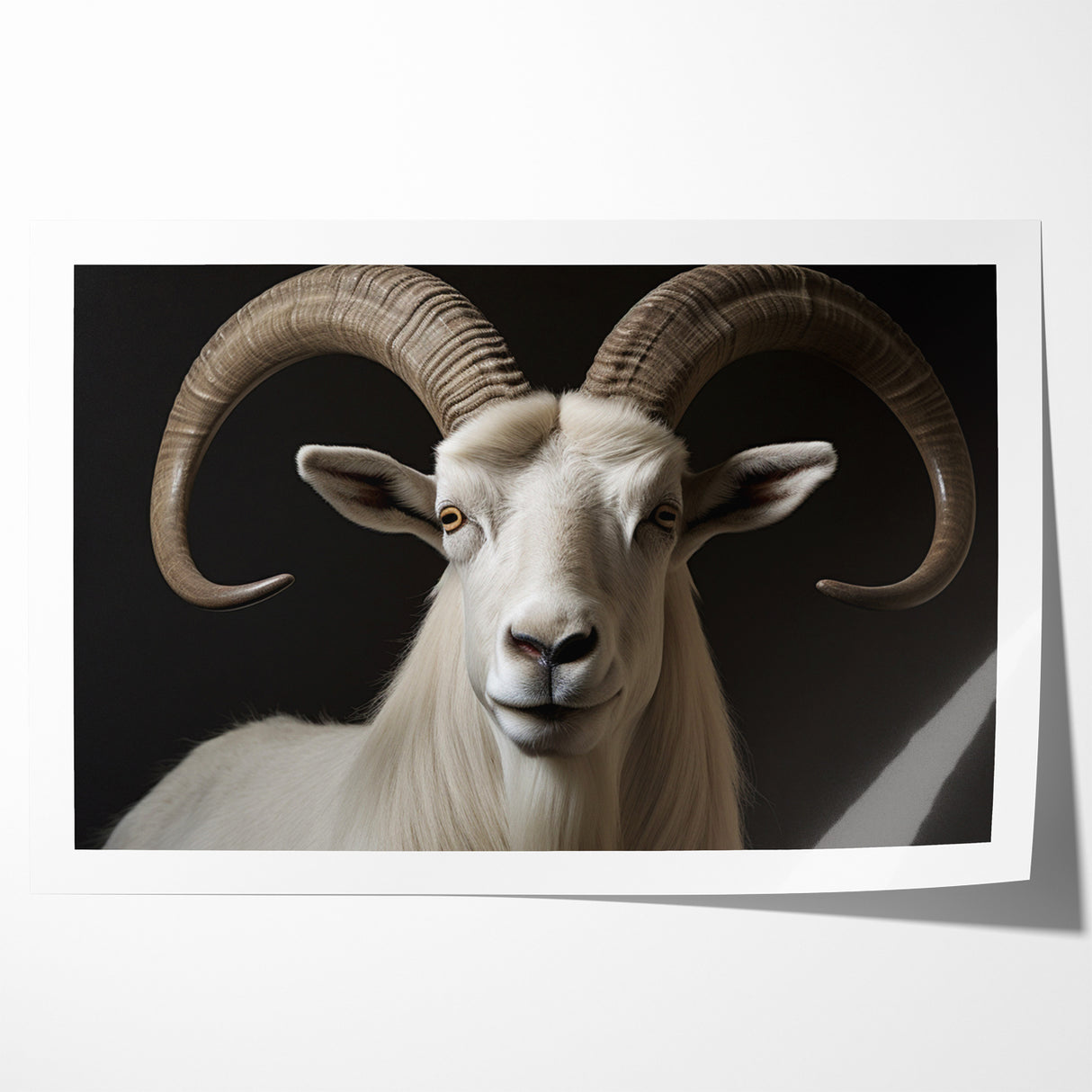 Majestic White Antelope with Impressive Horns - Captivating Wall Art