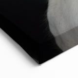 Majestic White Antelope with Impressive Horns - Captivating Wall Art