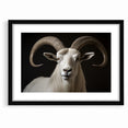 Majestic White Antelope with Impressive Horns - Captivating Wall Art
