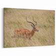 Serene Antelope in Tall Grass - Nature-Inspired Wildlife Wall Art