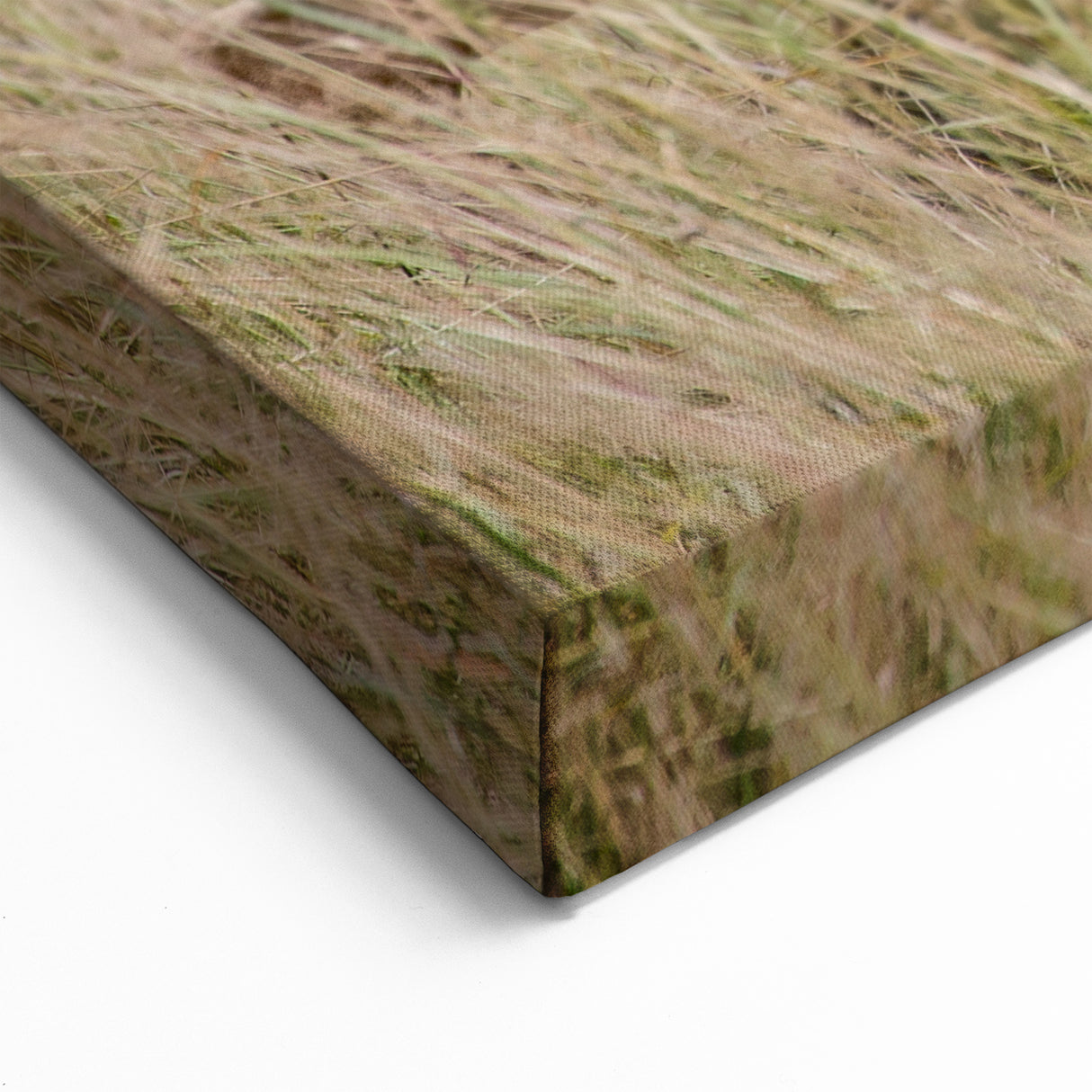 Serene Antelope in Tall Grass - Nature-Inspired Wildlife Wall Art