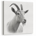 Minimalist White Antelope Portrait - Elegant Wall Art Decor