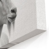 Minimalist White Antelope Portrait - Elegant Wall Art Decor