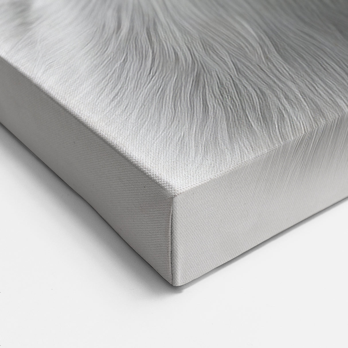 Minimalist White Antelope Portrait - Elegant Wall Art Decor